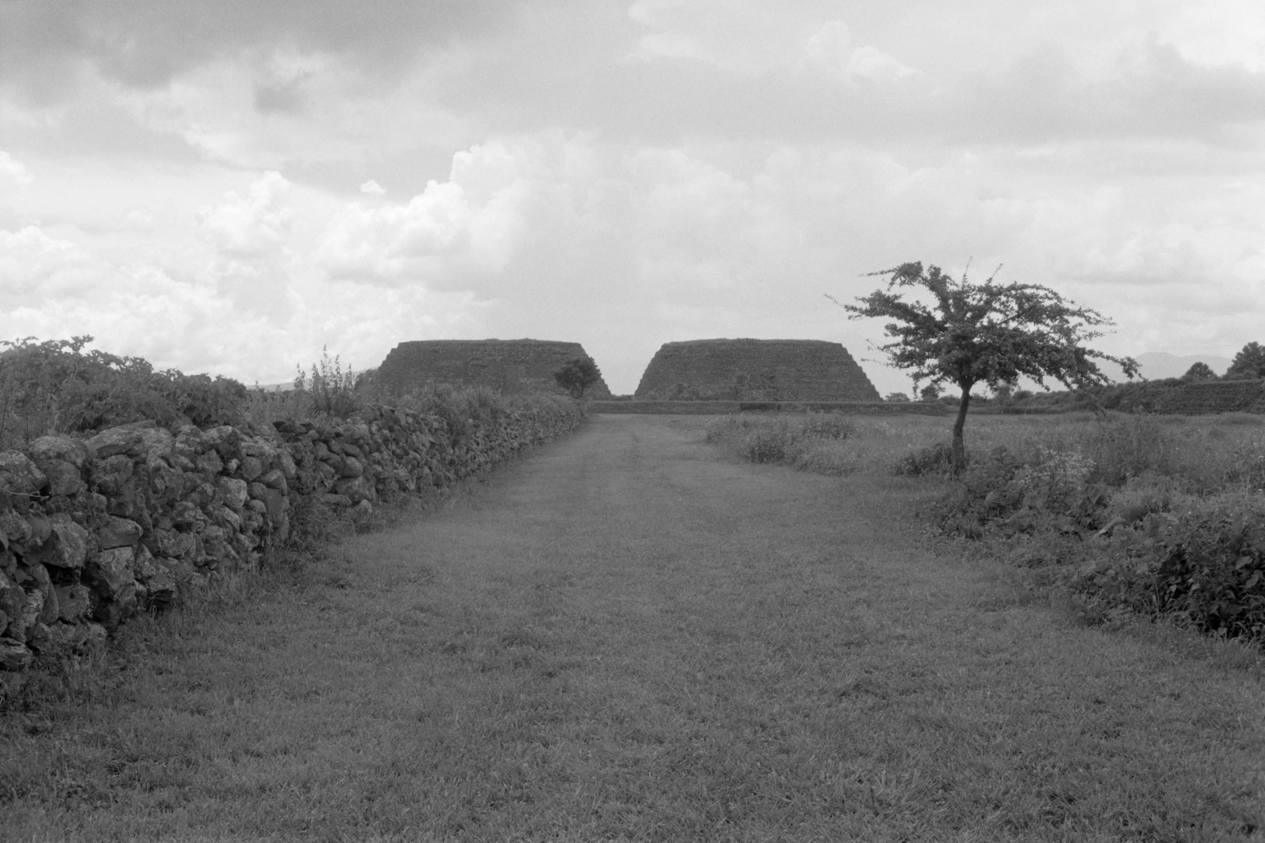 AHP FilmScan 240807 0486